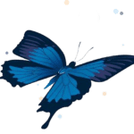 Chrysalis care Fostering London - Butterfly logo